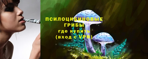 прущий лед Володарск