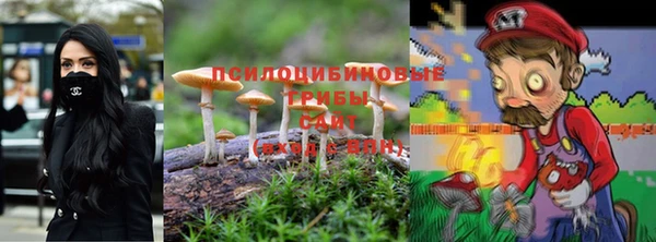 прущий лед Володарск
